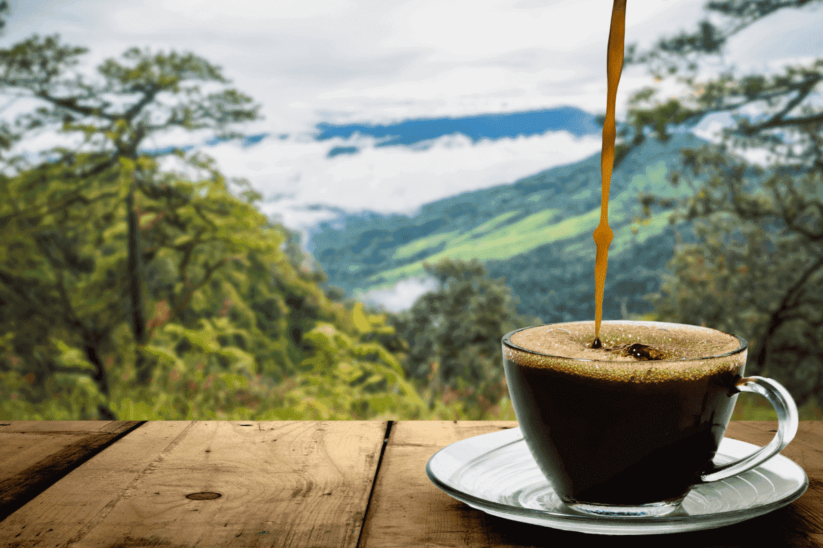 Bali coffee