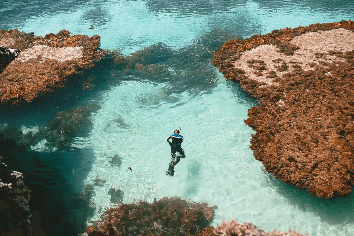 Snorkeling