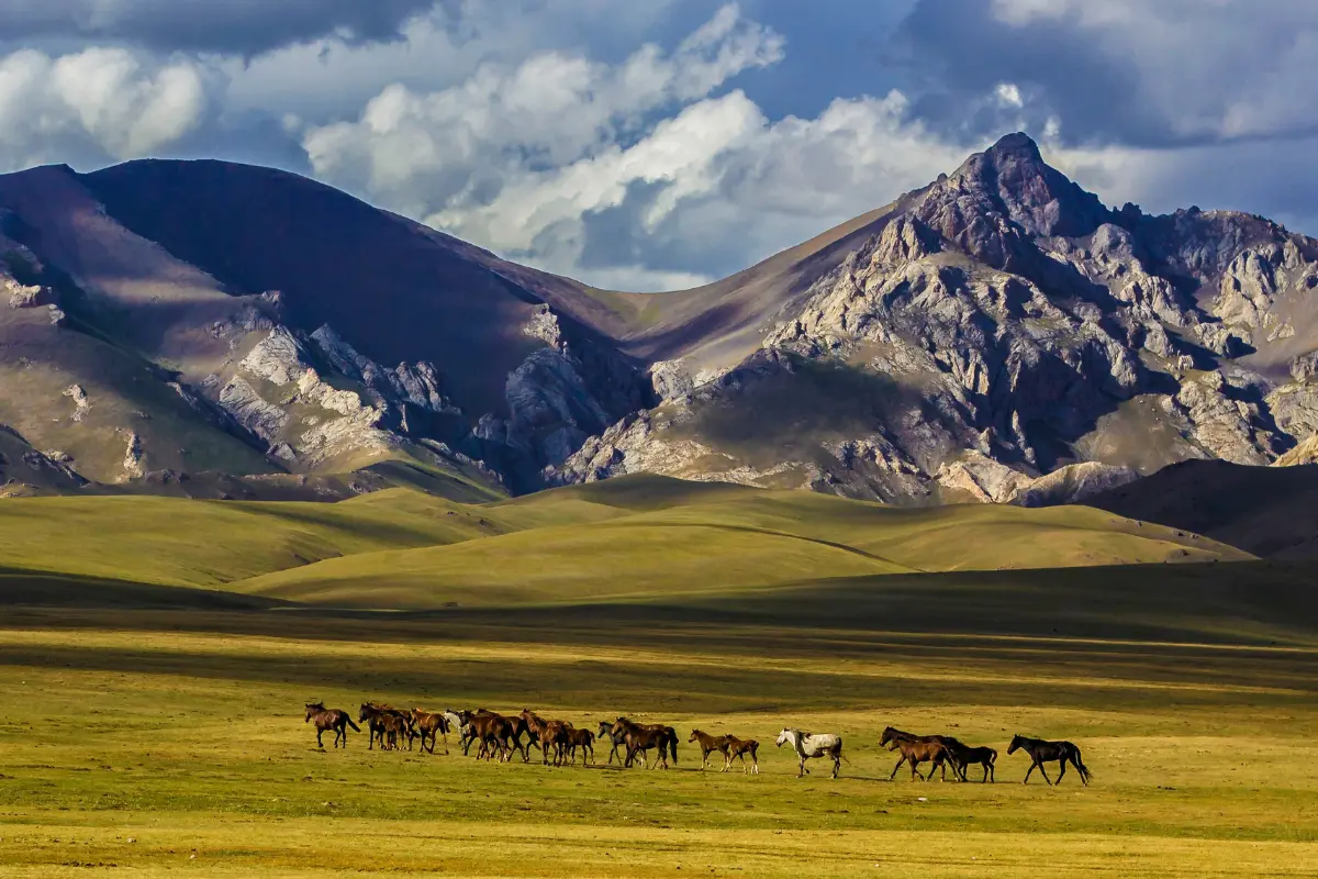 Kyrgyzstan